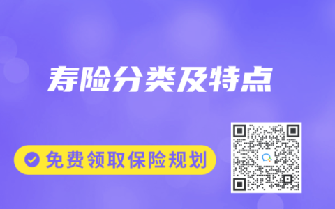 寿险分类及特点
