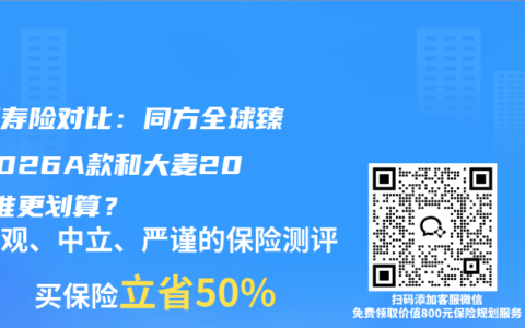 定期寿险对比：同方全球臻爱2026A款和大麦2026谁更划算？