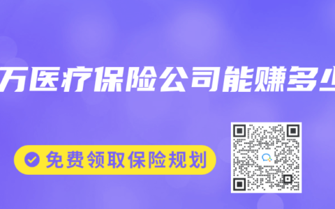 百万医疗保险公司能赚多少