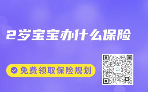 2岁宝宝办什么保险