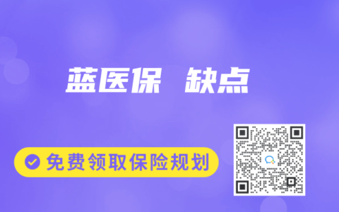 蓝医保 缺点