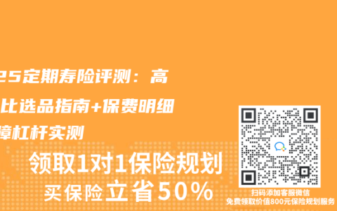 2025定期寿险评测：高性价比选品指南+保费明细+保障杠杆实测