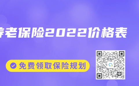 养老保险2022价格表