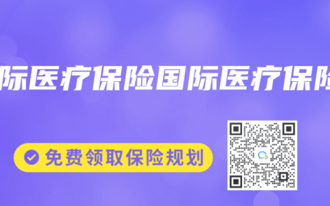 国际医疗保险