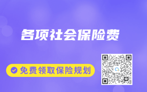 各项社会保险费
