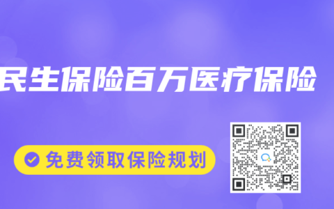 民生保险百万医疗保险