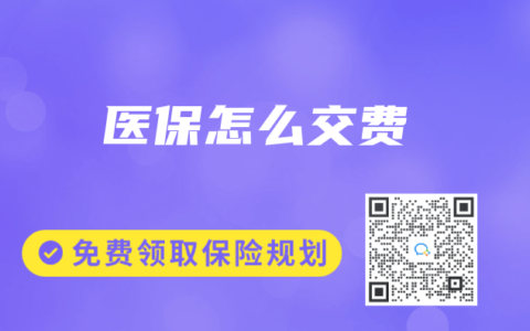 医保怎么交费