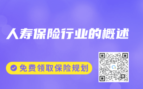 人寿保险行业的概述