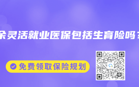 新余灵活就业医保包括生育险吗？