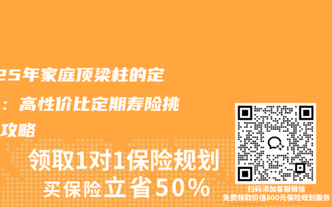 2025年家庭顶梁柱的定心丸：高性价比定期寿险挑选全攻略