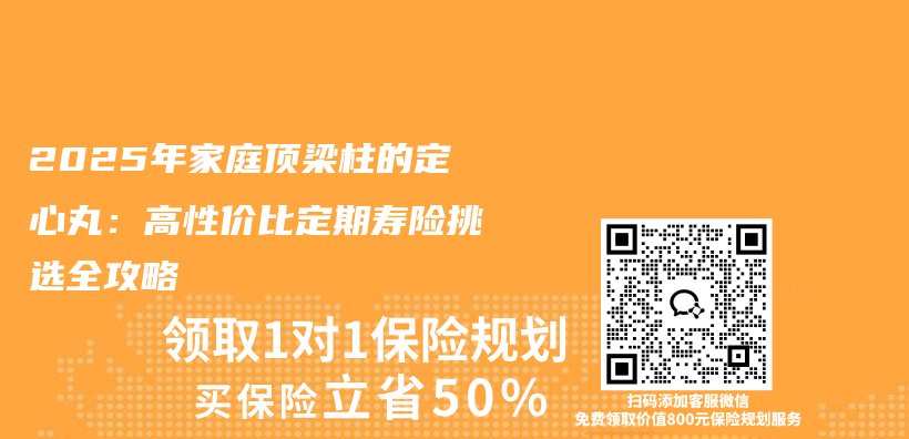 2025年家庭顶梁柱的定心丸：高性价比定期寿险挑选全攻略插图
