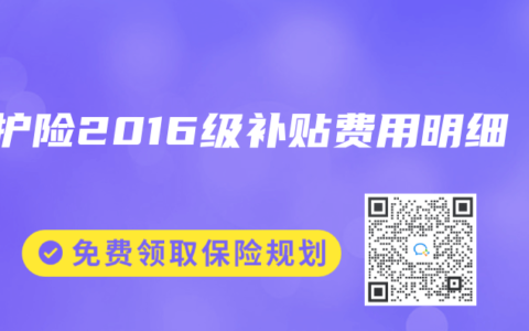 长护险2016级补贴费用明细