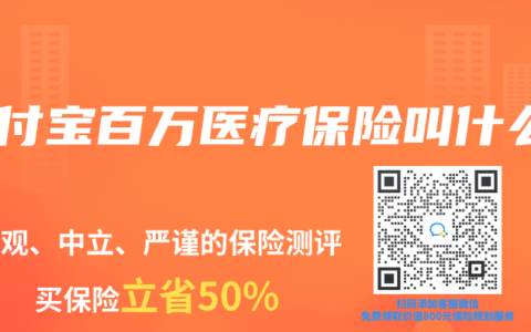支付宝百万医疗保险叫什么