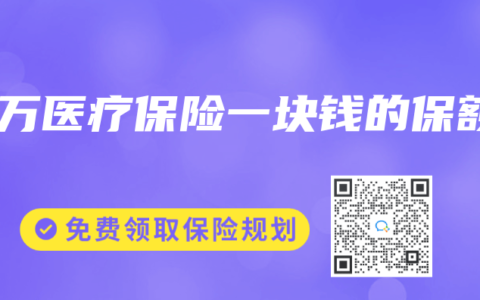 百万医疗保险一块钱的保额
