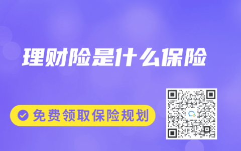 理财险是什么保险