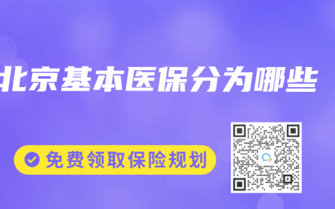 北京基本医保分为哪些