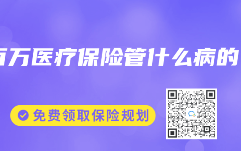 百万医疗保险管什么病的