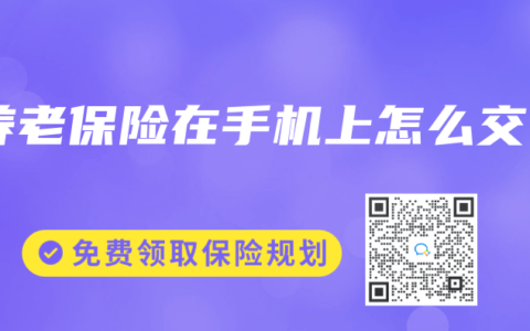 养老保险在手机上怎么交