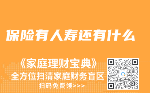 保险有人寿还有什么