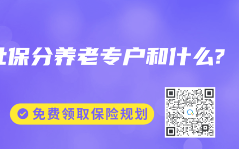 社保分养老专户和什么?