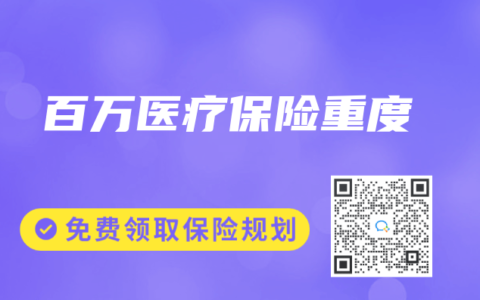 百万医疗保险重度