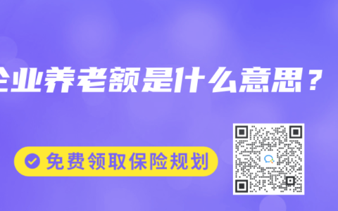 企业养老额是什么意思？