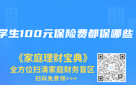 小学生100元保险费都保哪些