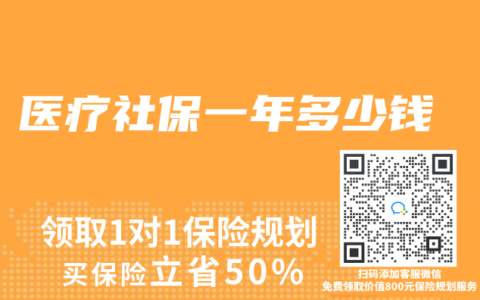 医疗社保一年多少钱