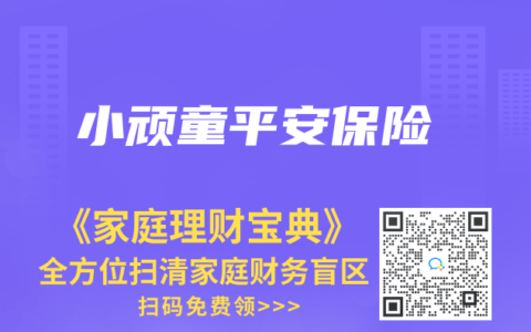小顽童平安保险