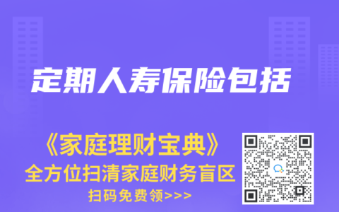 定期人寿保险包括
