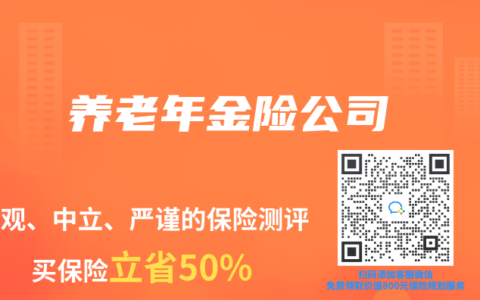 养老年金险公司