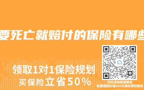 只要死亡就赔付的保险有哪些