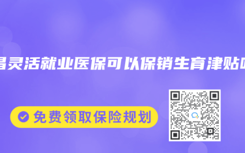 南昌灵活就业医保可以保销生育津贴吗