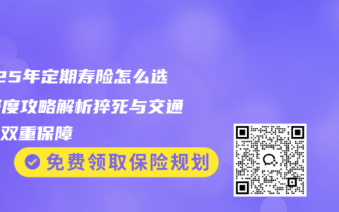 2025年定期寿险怎么选？深度攻略解析猝死与交通意外双重保障