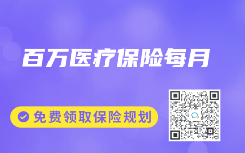 百万医疗保险每月