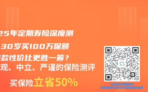 2025年定期寿险深度测评：30岁买100万保额，哪款性价比更胜一筹？