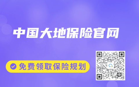 中国大地保险官网