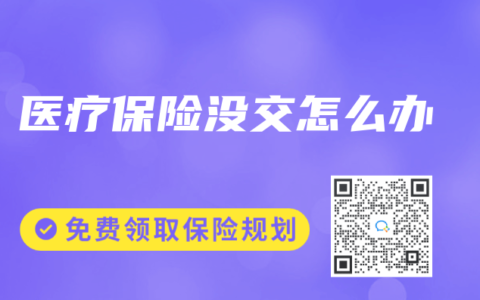 医疗保险没交怎么办