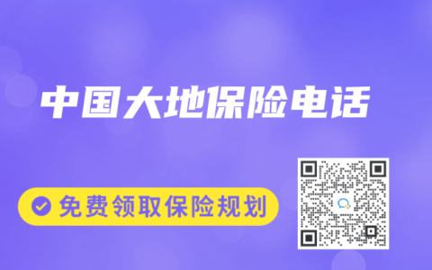 中国大地保险电话