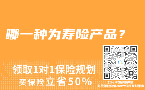 哪一种为寿险产品？