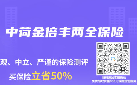 中荷金倍丰两全保险