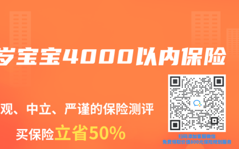 2岁宝宝4000以内保险