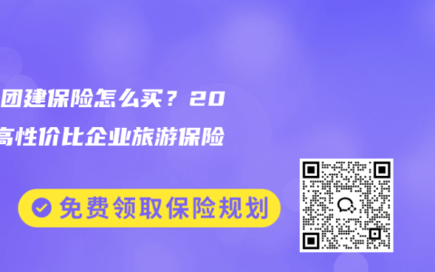 公司团建保险怎么买？2025高性价比企业旅游保险攻略