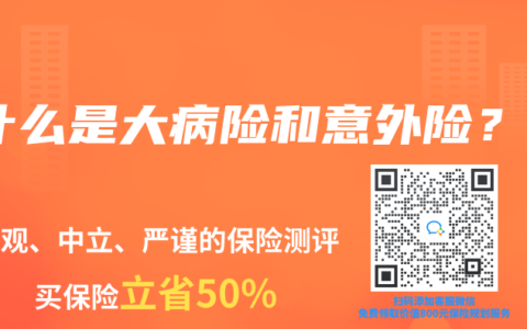 什么是大病险和意外险？