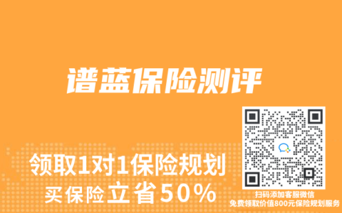 谱蓝保险测评