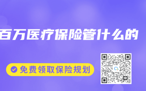 百万医疗保险管什么的