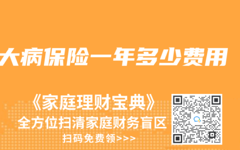 大病保险一年多少费用