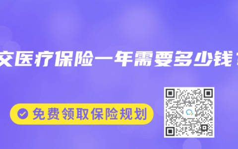 补交医疗保险一年需要多少钱？