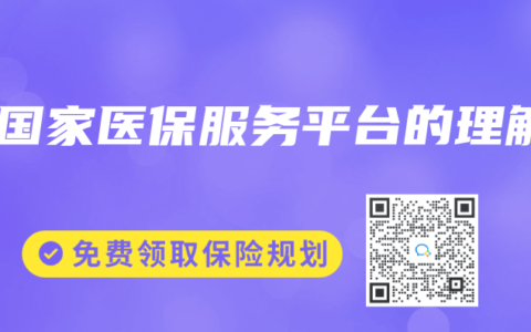 对国家医保服务平台的理解