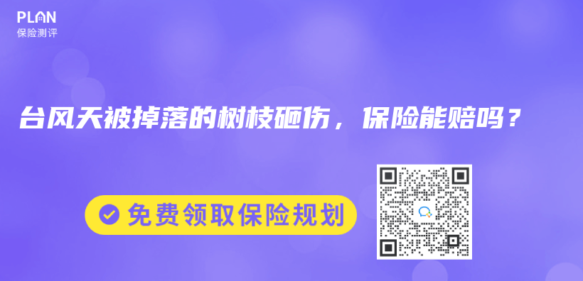 台风天被掉落的树枝砸伤，保险能赔吗？插图